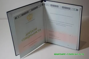 Купить диплом МЮИ в Москве — Международного юридического института